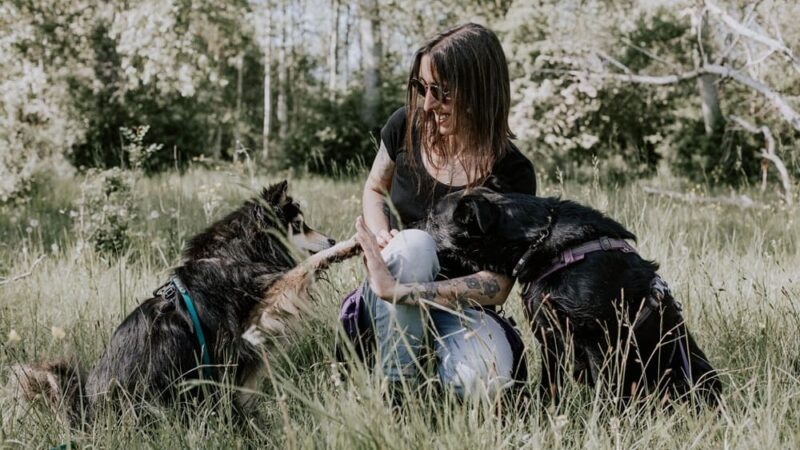 Chiens participant à un cours collectif en Deux-Sèvres (79)